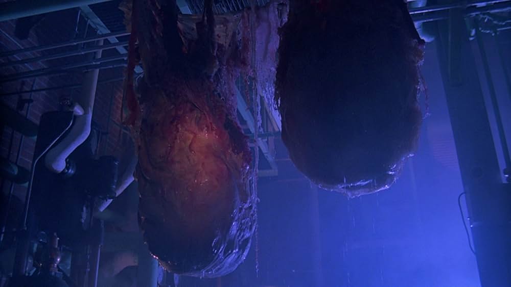 インセクトの画像