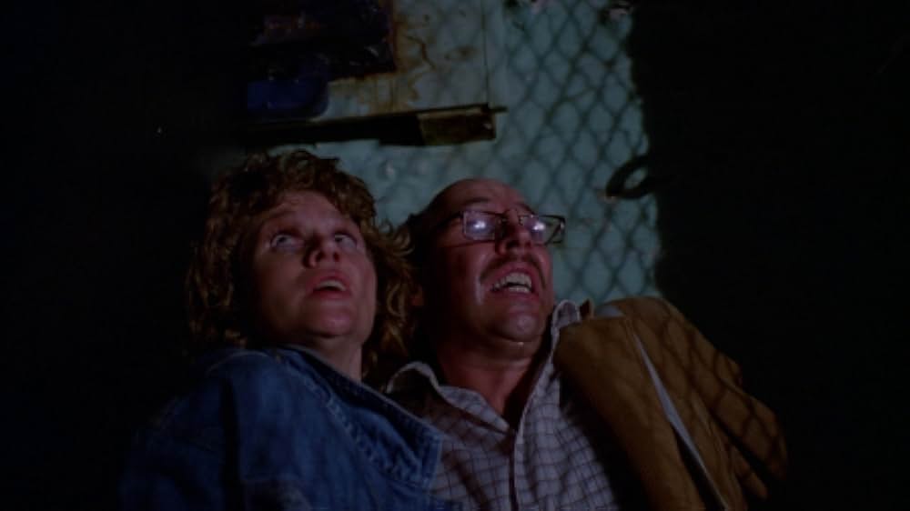 インセクトの画像