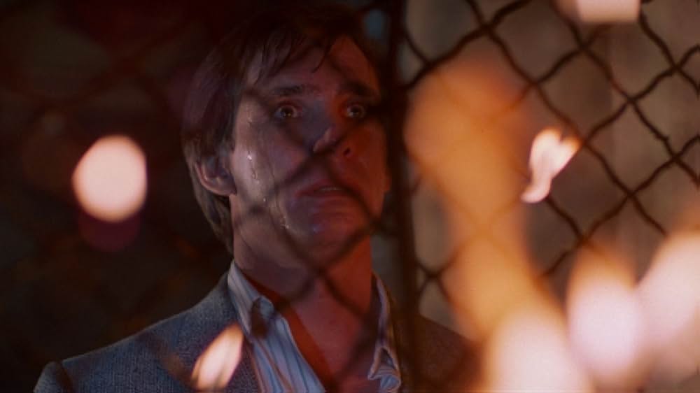 インセクトの画像