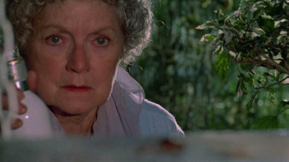 インセクトの画像