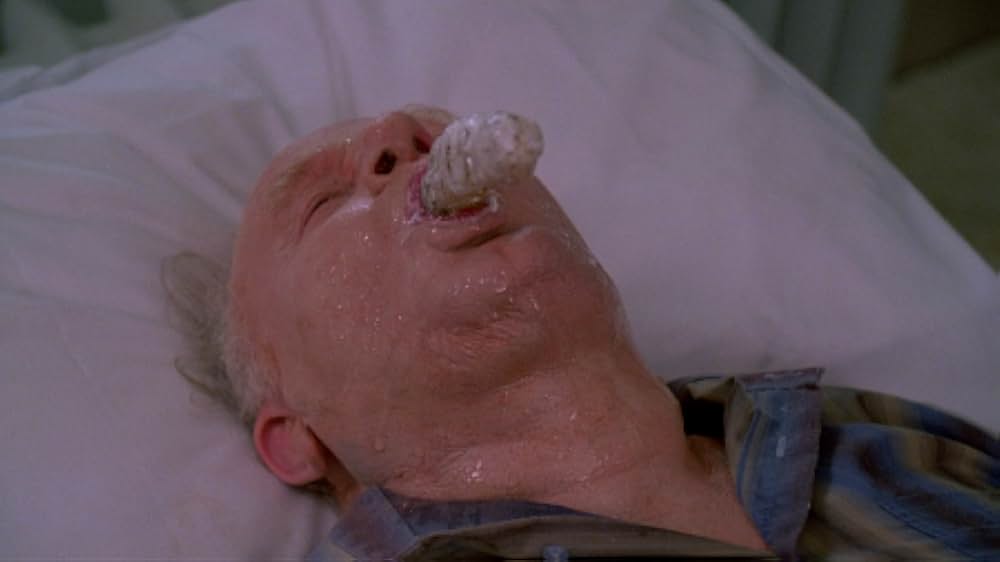 インセクトの画像