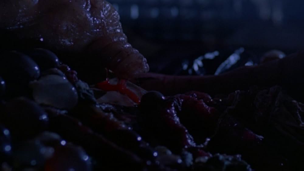 インセクトの画像