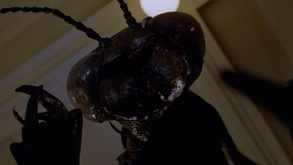 インセクトの画像