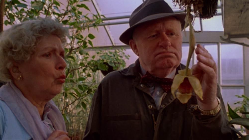 インセクトの画像