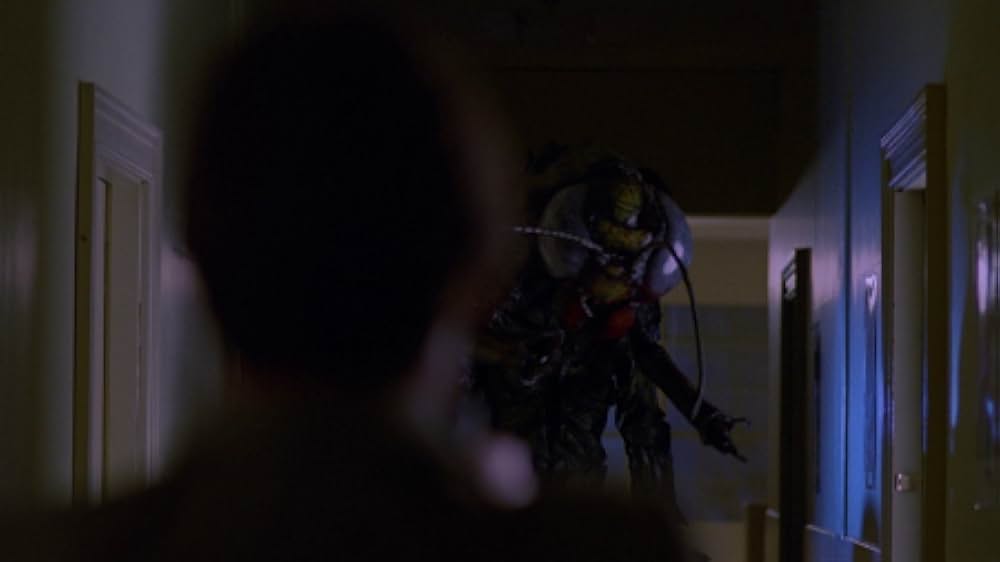 インセクトの画像