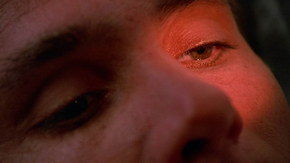 インセクトの画像