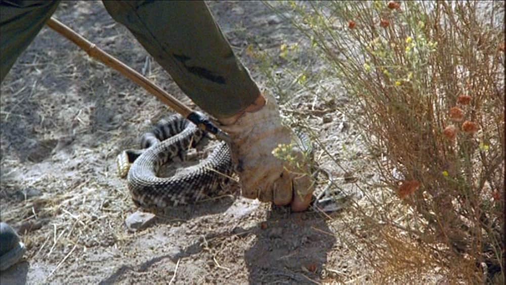 The Terror Within（原題）の画像