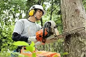 WOOD JOB！（ウッジョブ）神去なあなあ日常の画像