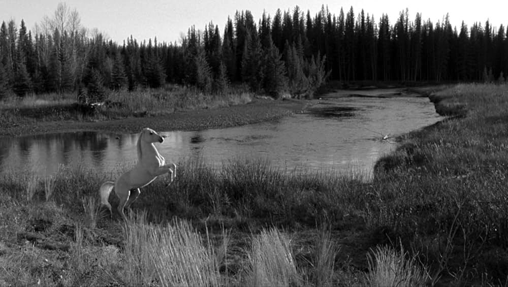 わが魂を聖地に埋めよの画像