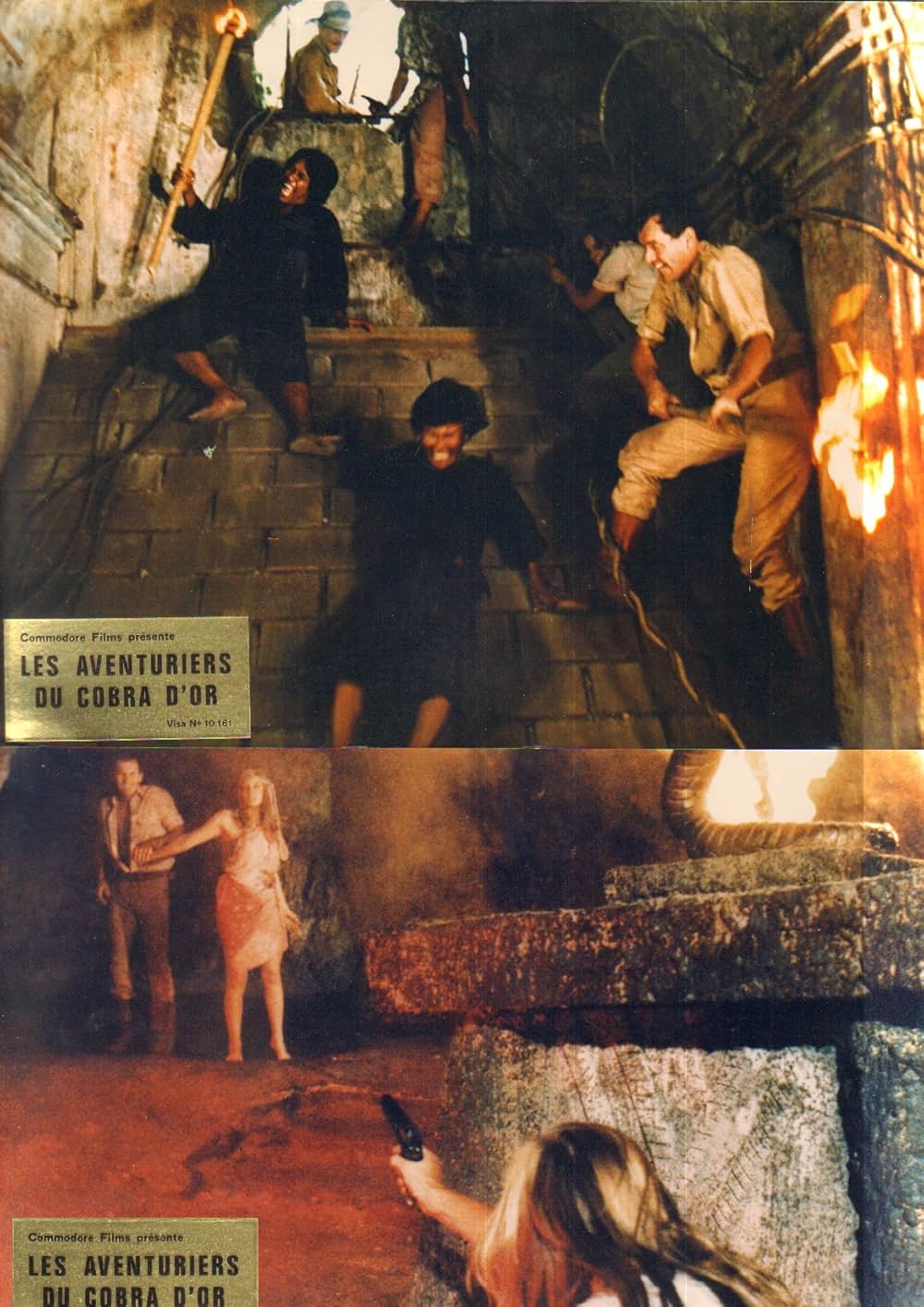 ザ・ゴールデン・コブラの画像