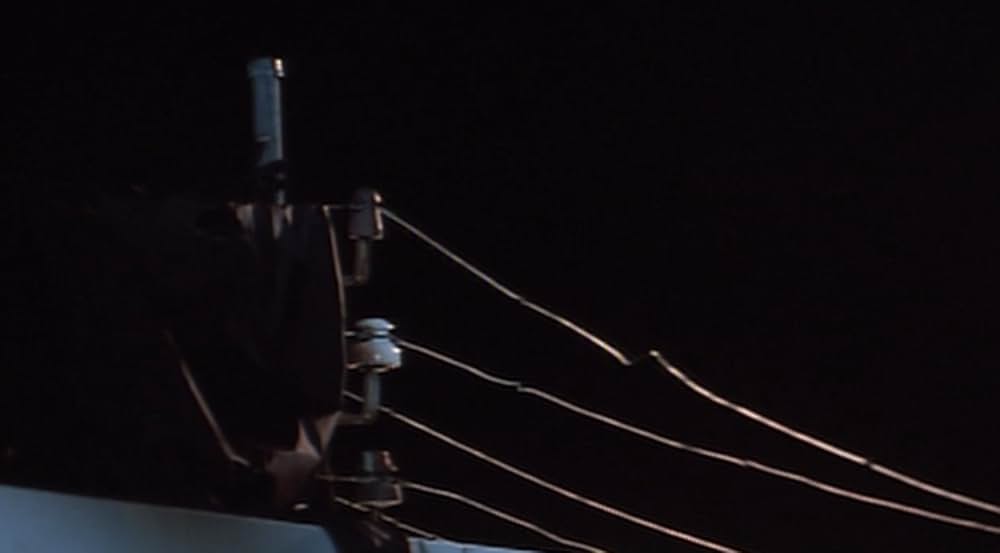 エキスパートの画像