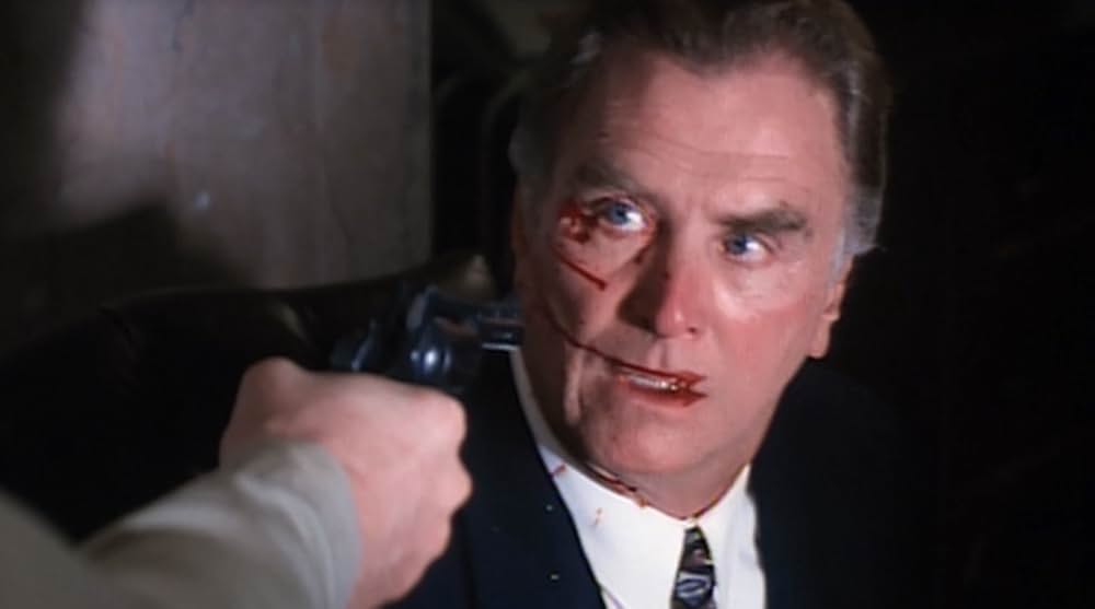 エキスパートの画像