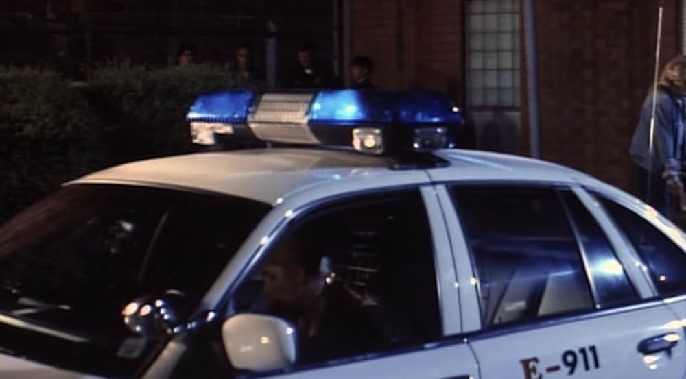 エキスパートの画像