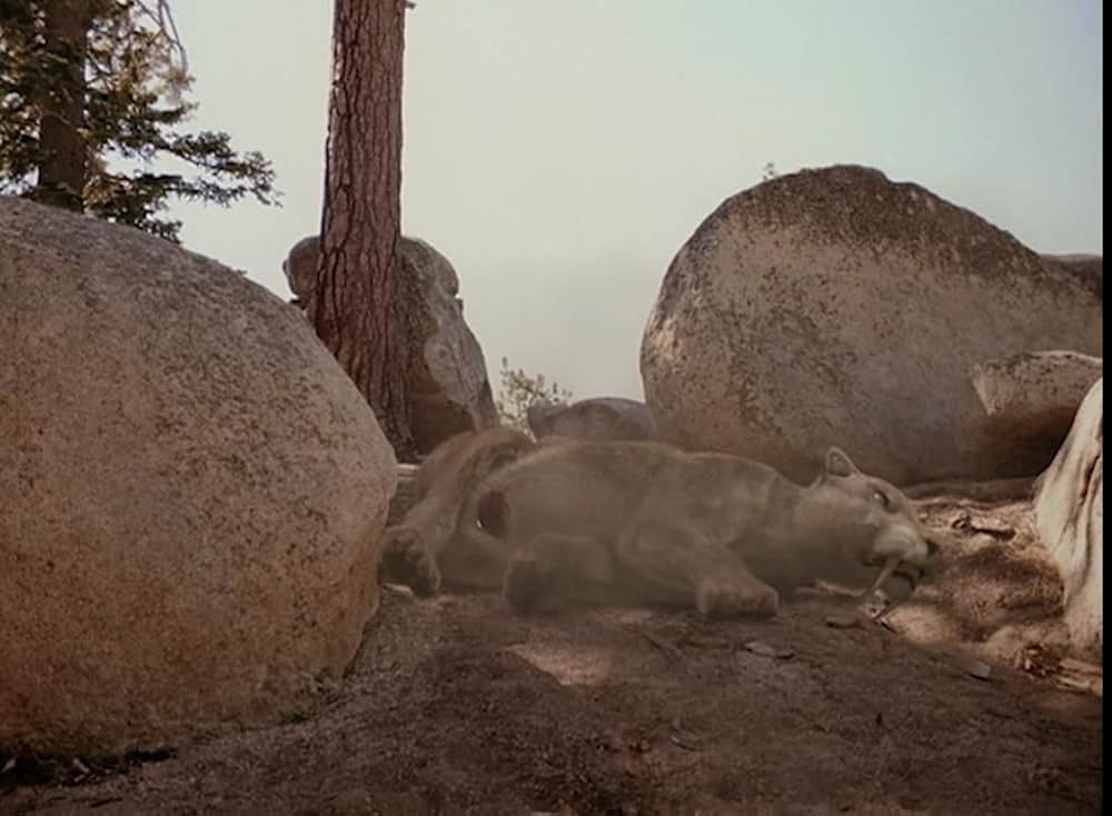 サーベルタイガーの画像