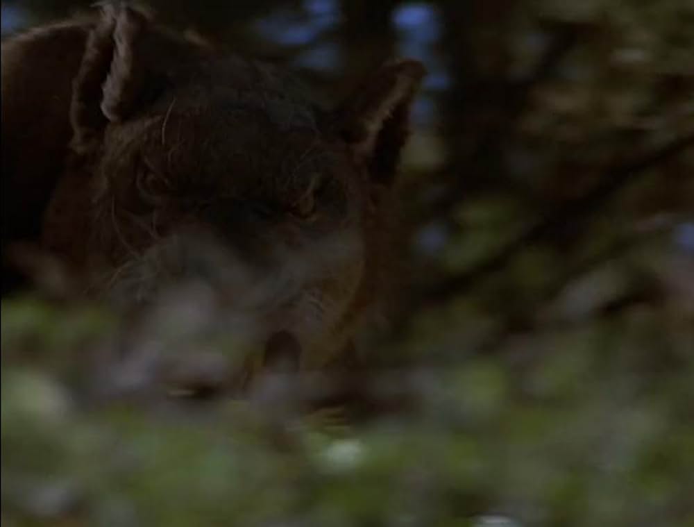 サーベルタイガーの画像