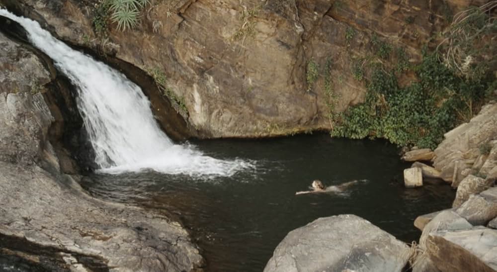 ジャングル・チェイスの画像