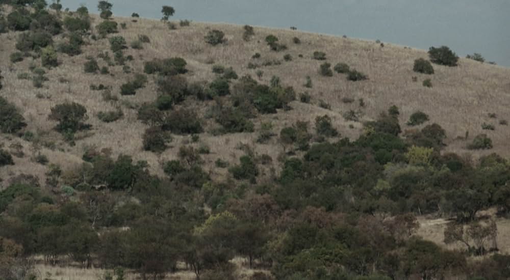 ジャングル・チェイスの画像