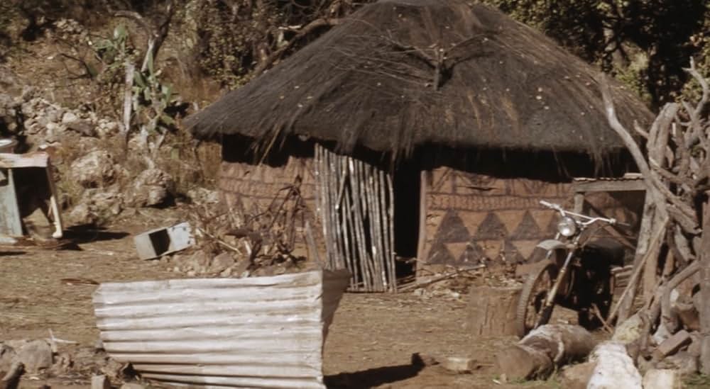 ジャングル・チェイスの画像