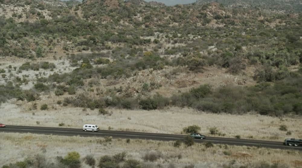 ジャングル・チェイスの画像