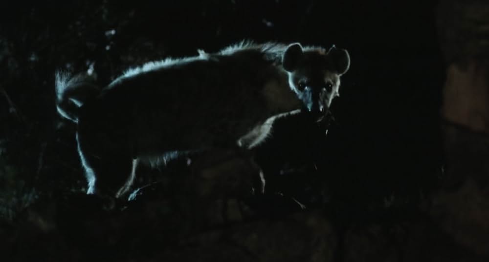 ジャングル・チェイスの画像