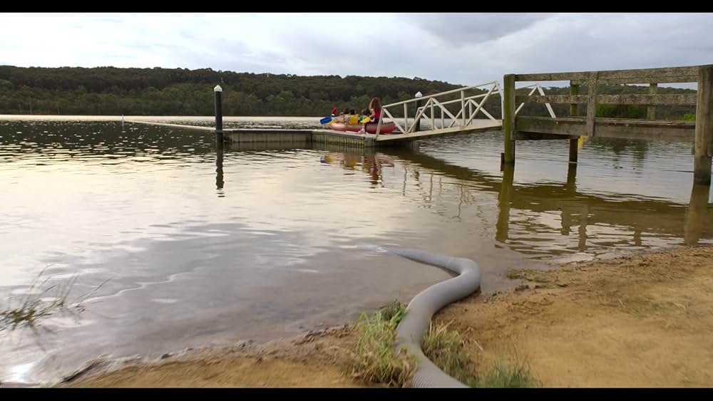 ウッディー・ウッドペッカー サマーキャンプの画像