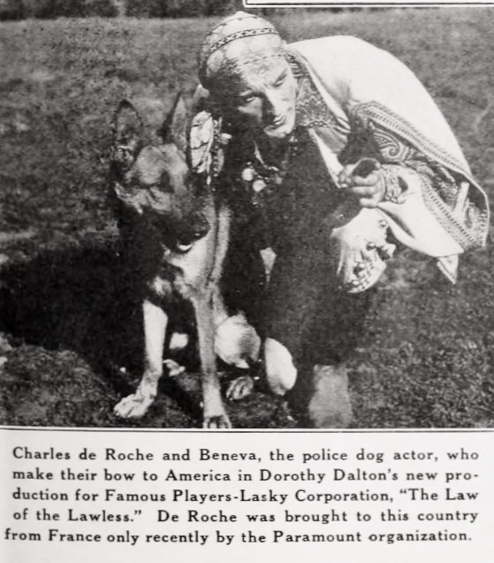 無法者の掟の画像