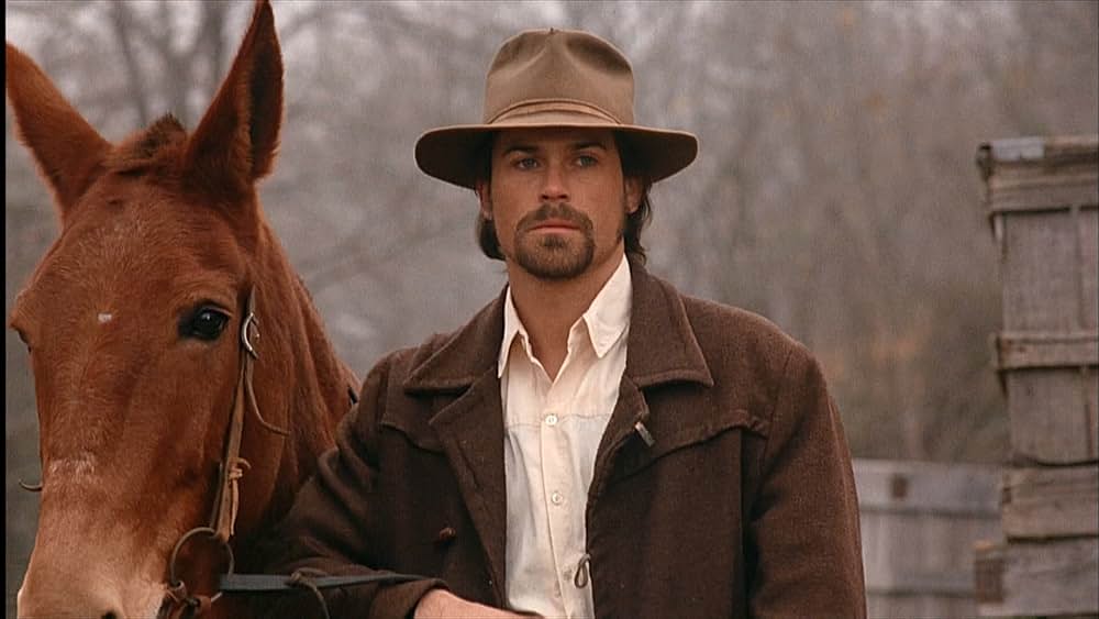 ワイルド・ガンズの画像