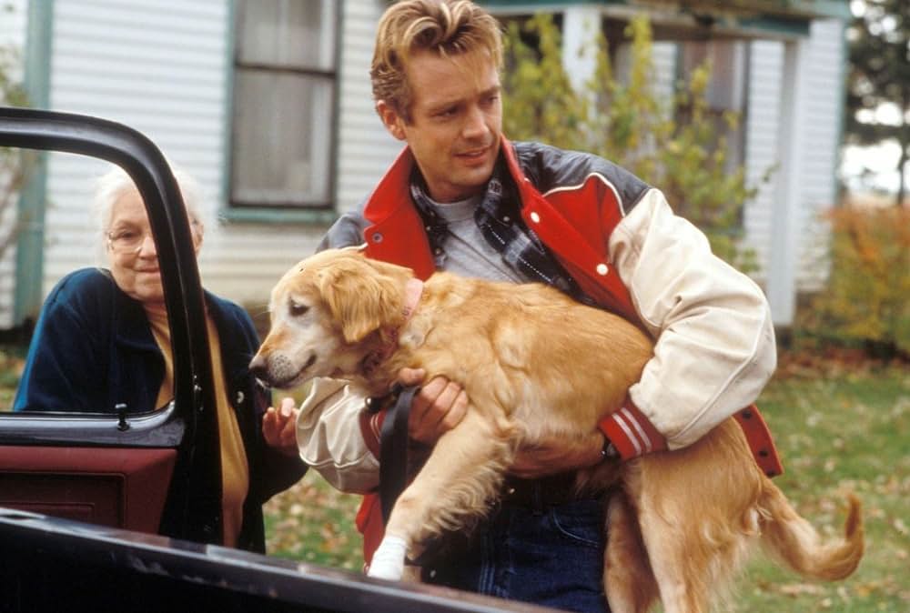 ツイスター・インフェルノの画像