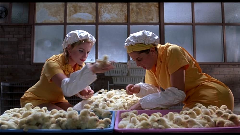 Mr.アクシデントの画像