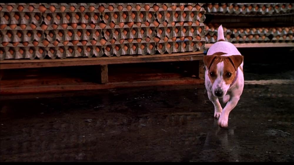 Mr.アクシデントの画像