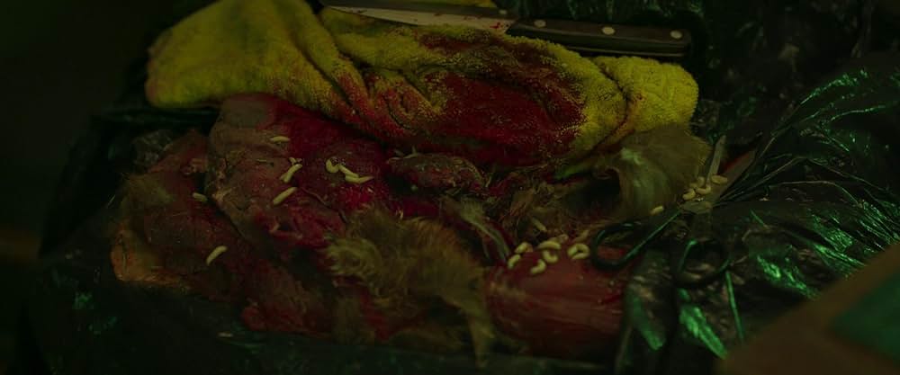 ストップモーションの画像