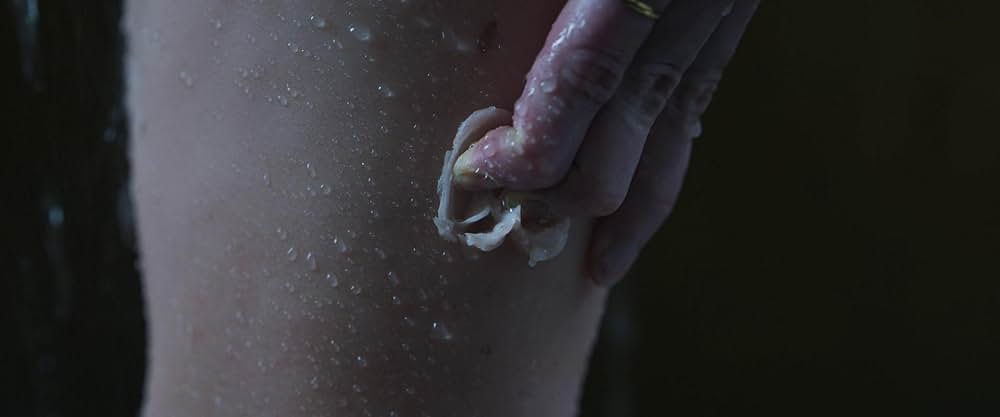 ストップモーションの画像