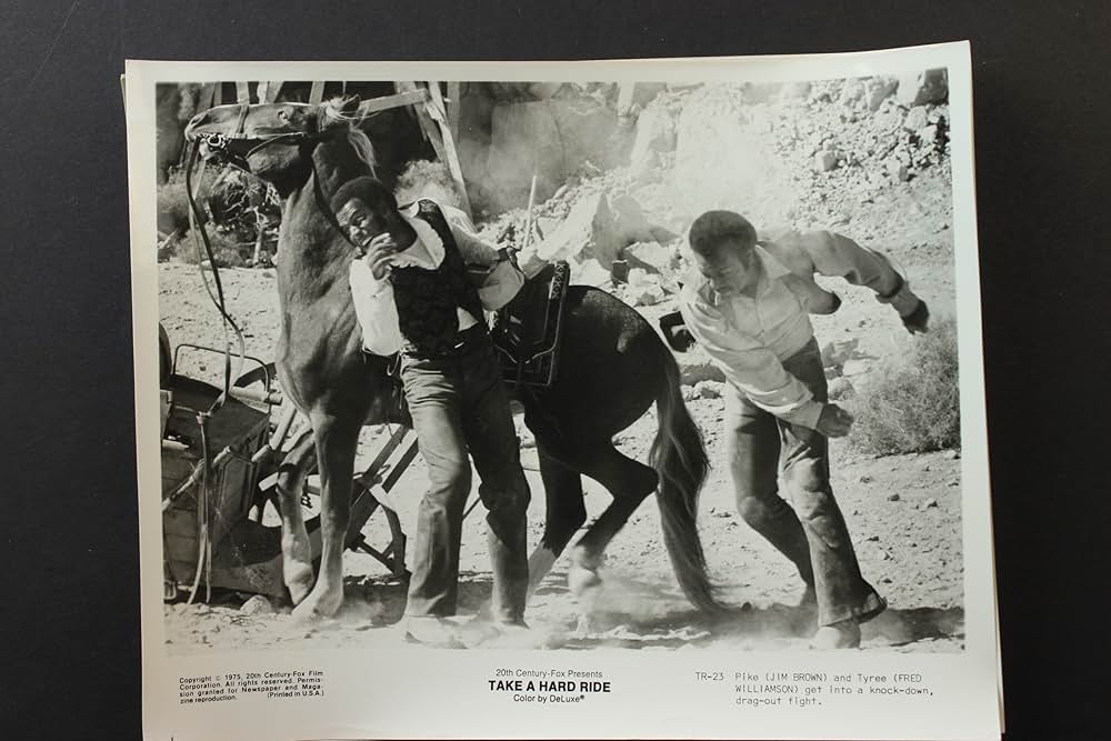 ワイルドトレイルの画像