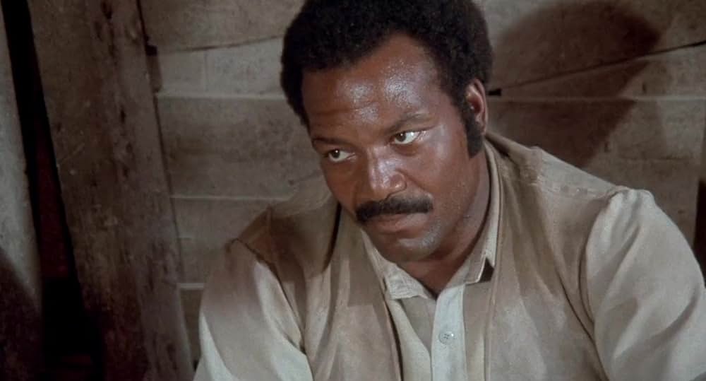 ワイルドトレイルの画像