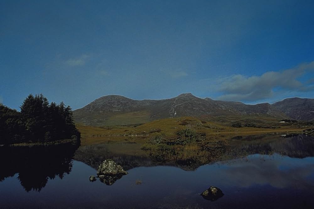 恋はワンダフル！?の画像