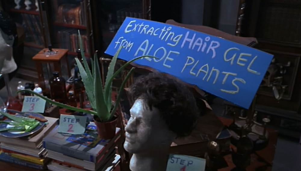 美容師と野獣の画像