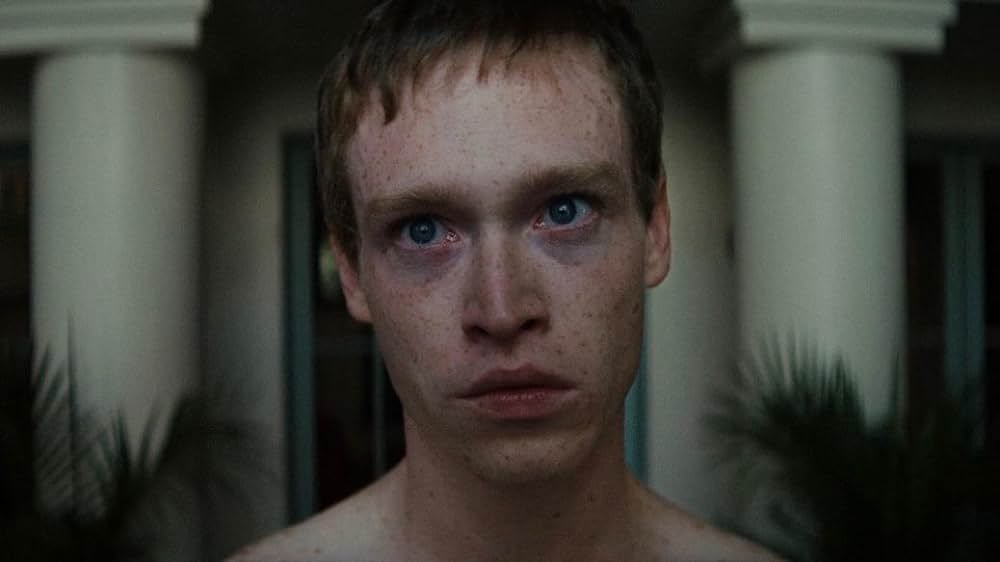 ストレンジャー 異界からの訪問者の画像