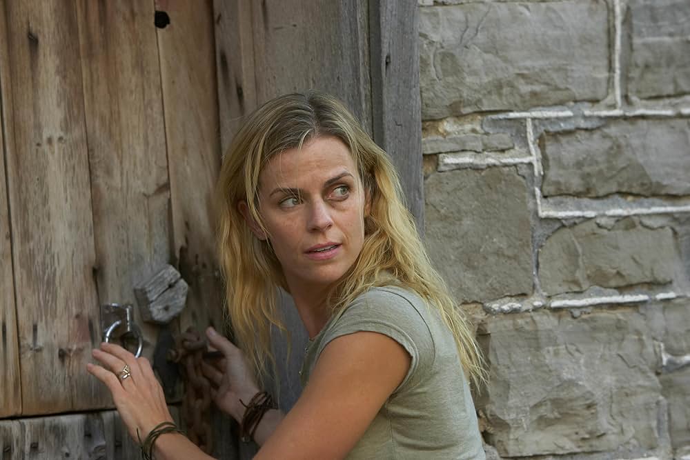 シェルター 狂気の秘密の画像