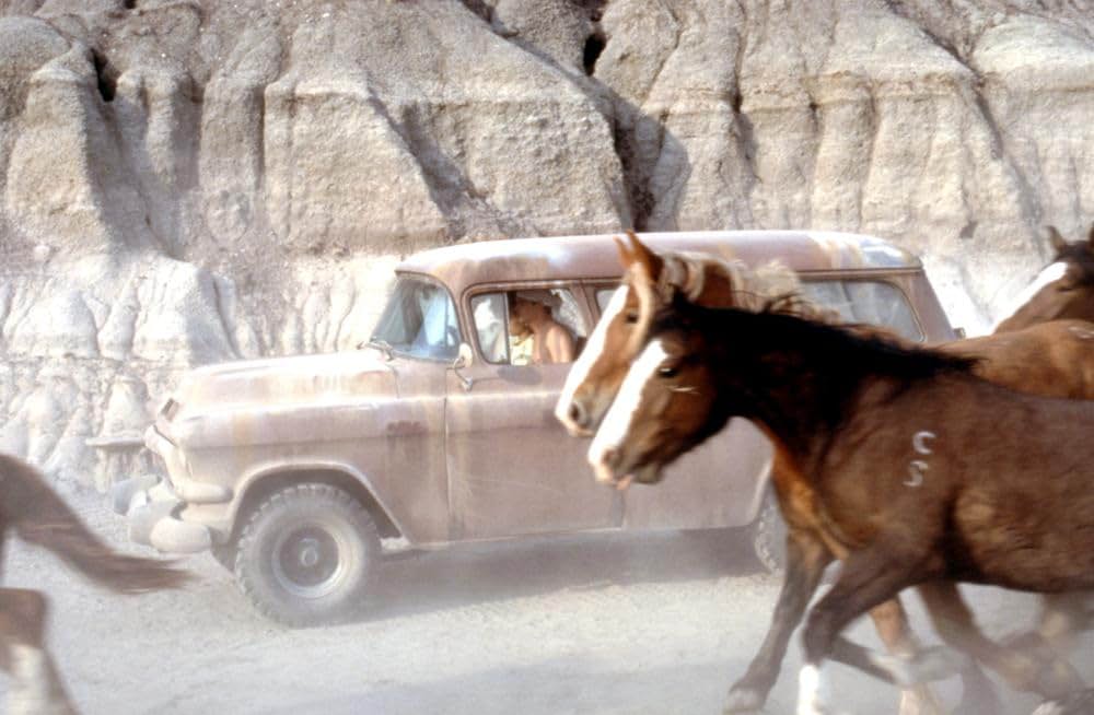 Born to be ワイルドの画像