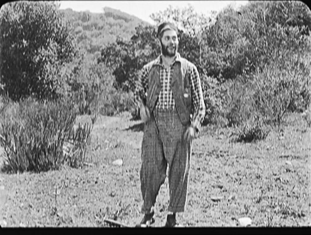 デブ君の巌窟王の画像