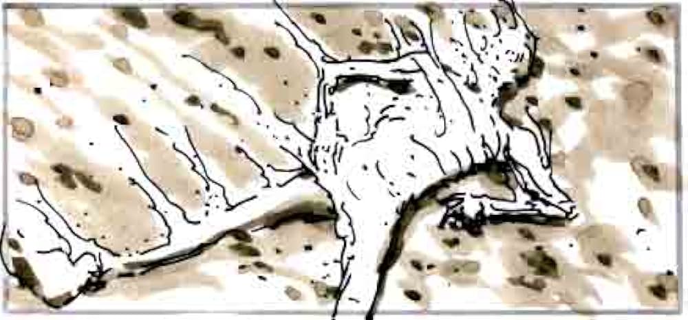 チルファクターの画像