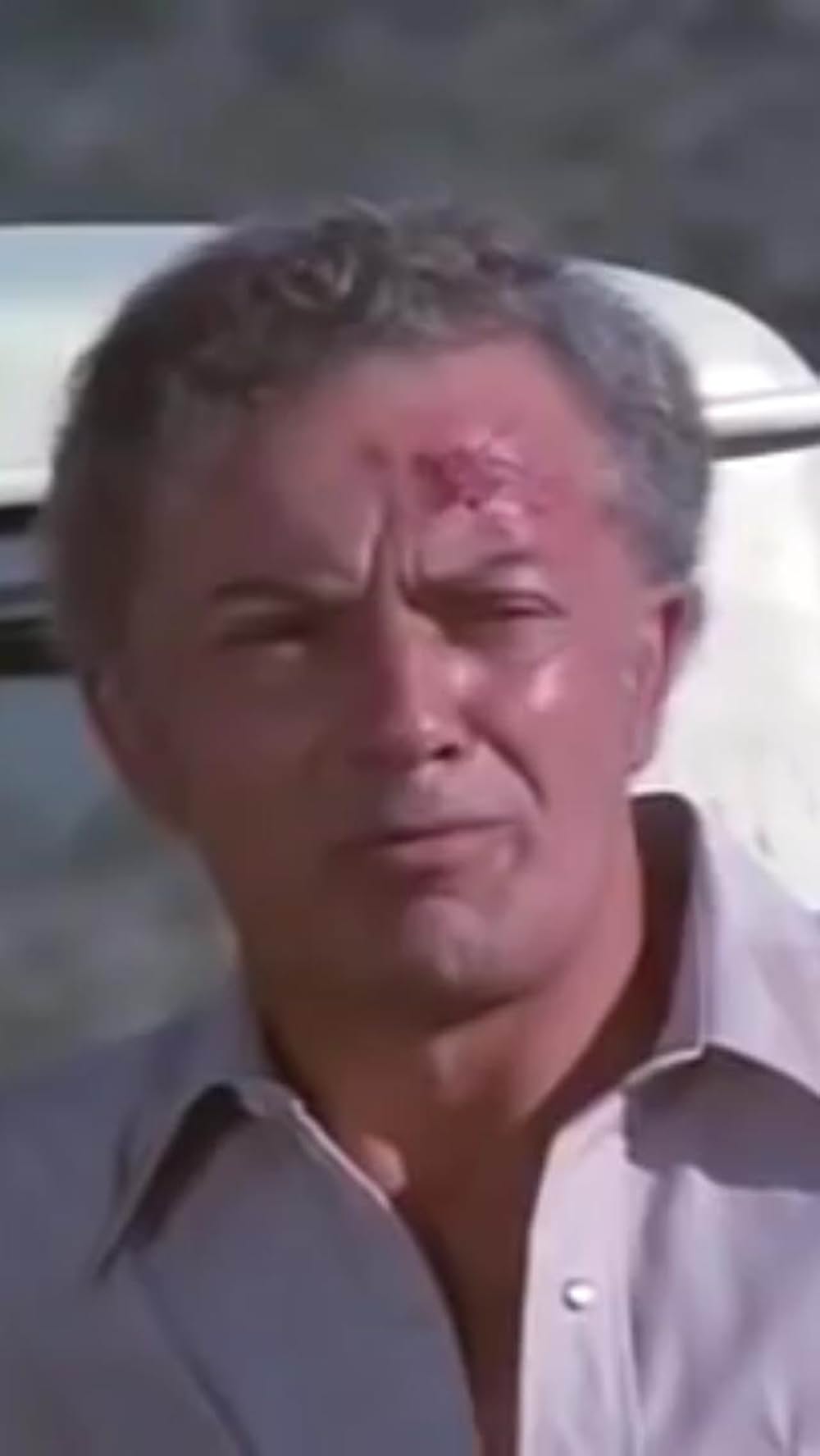 ショック！生きていた怪獣ガーゴイルズの画像