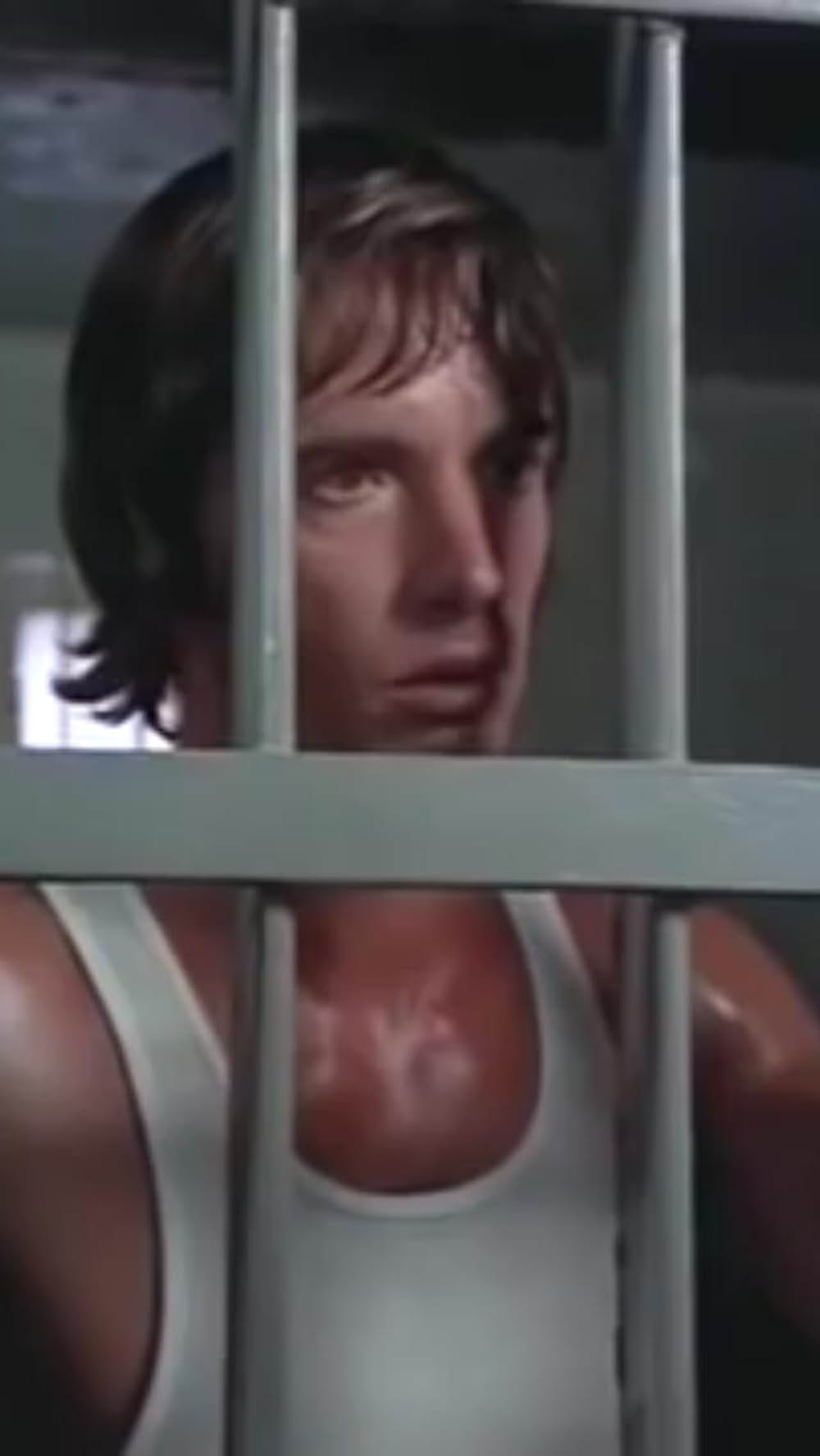 ショック！生きていた怪獣ガーゴイルズの画像