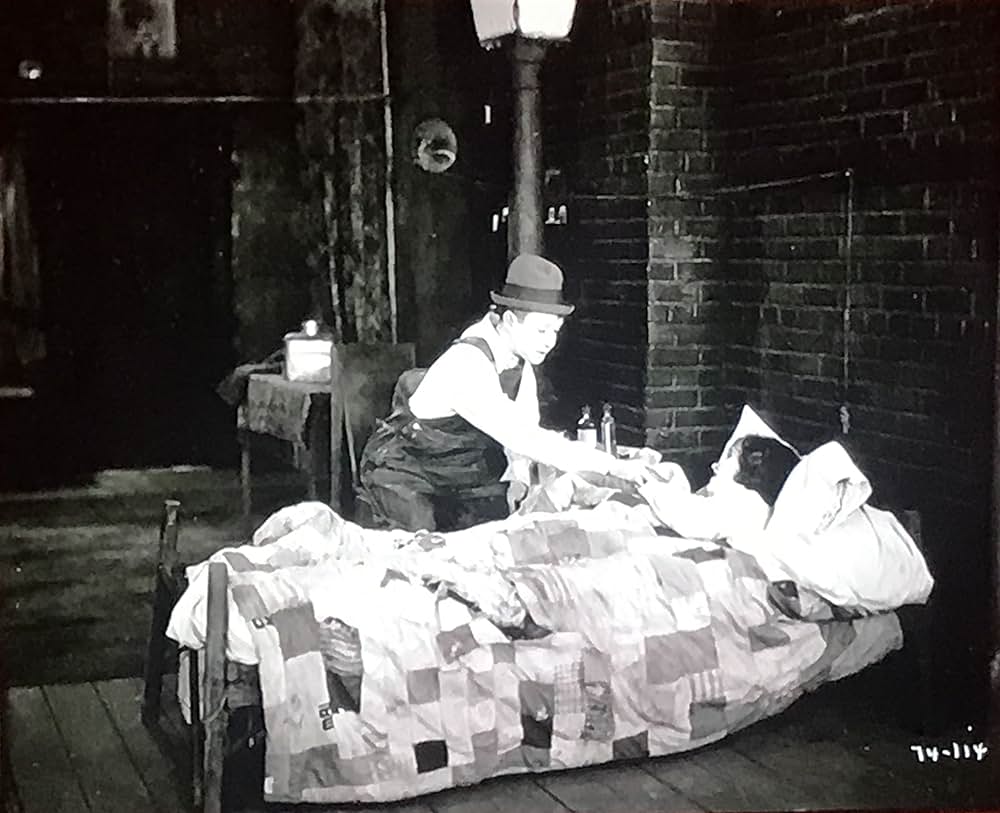 岡惚れハリーの画像