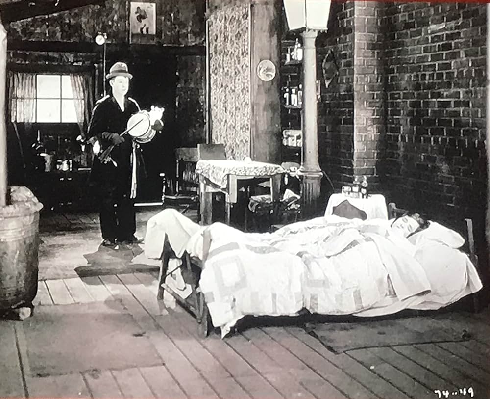 岡惚れハリーの画像