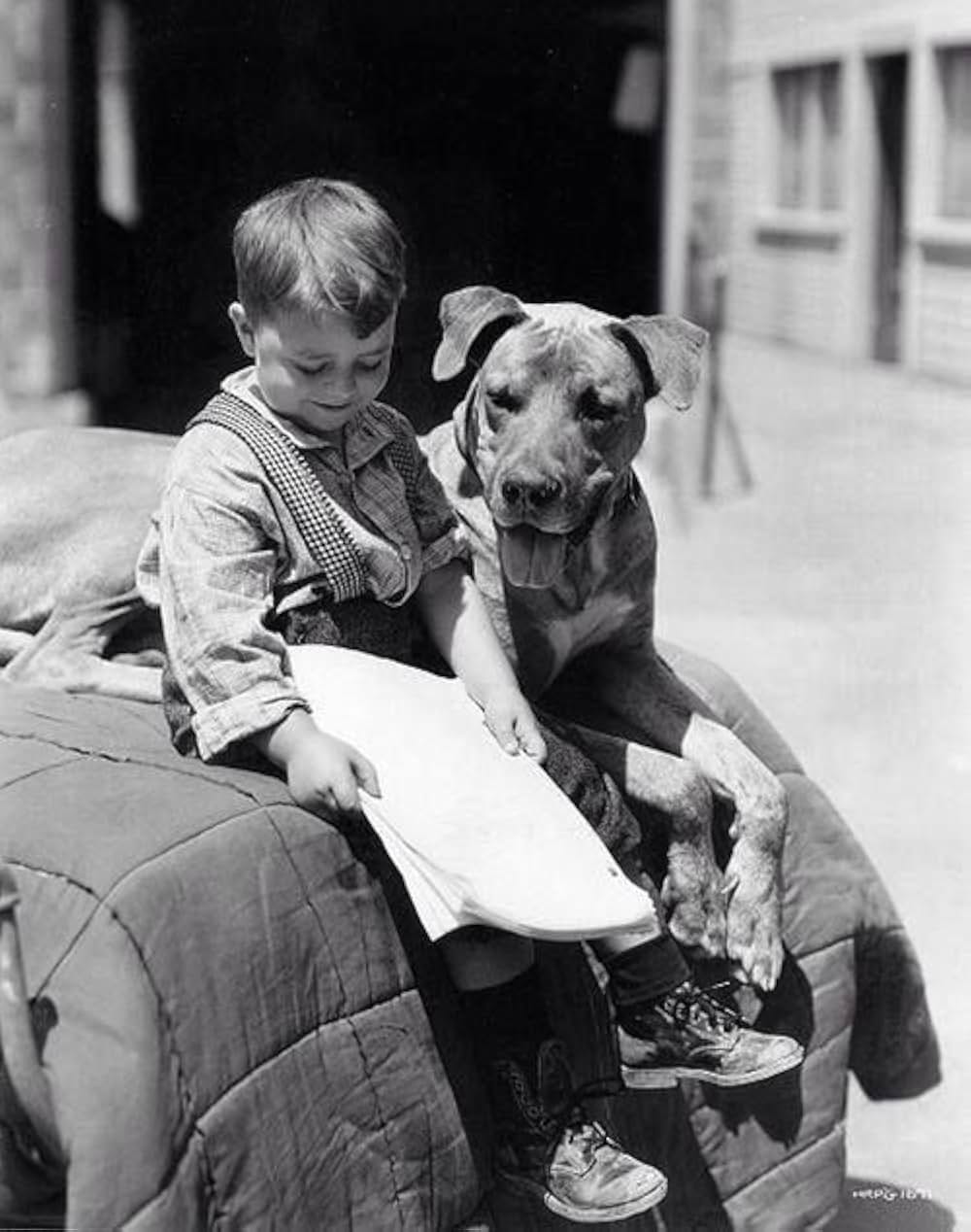 スパンキイ将軍の画像