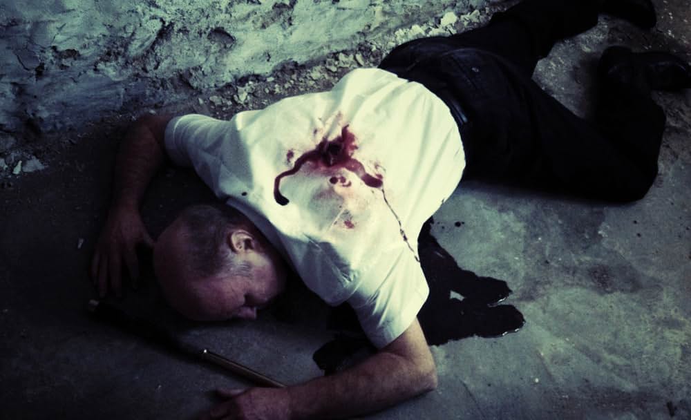 The Amityville Asylum（原題）の画像