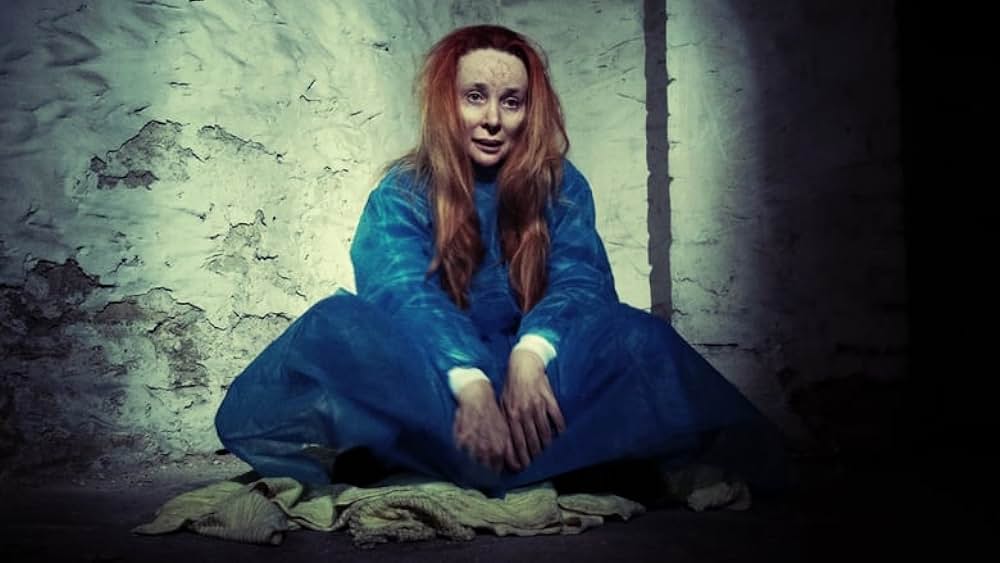 The Amityville Asylum（原題）の画像