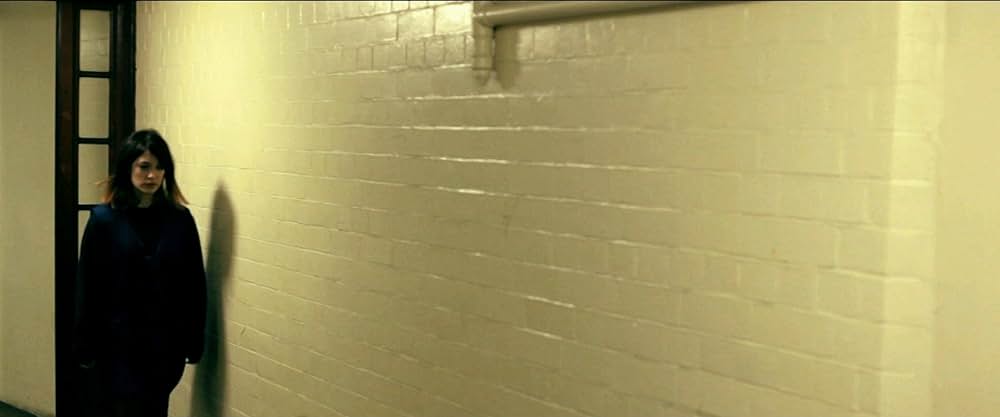 The Amityville Asylum（原題）の画像