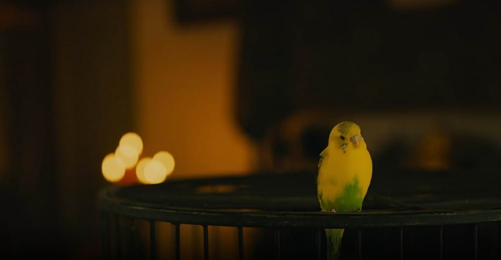 マミー・インサイドの画像